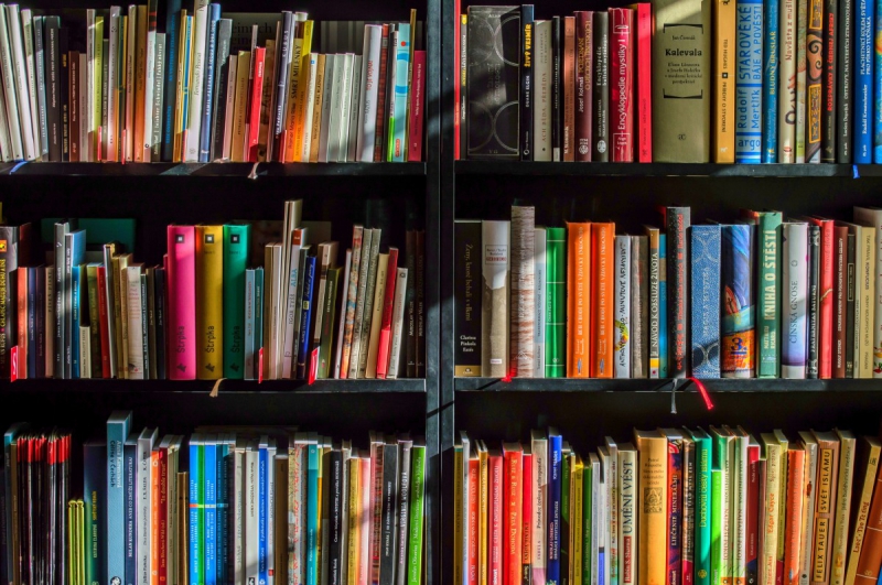 vente-CLAVIERS-min_books_bookstore_book_reading_shop_writer_sale_books_read-822866